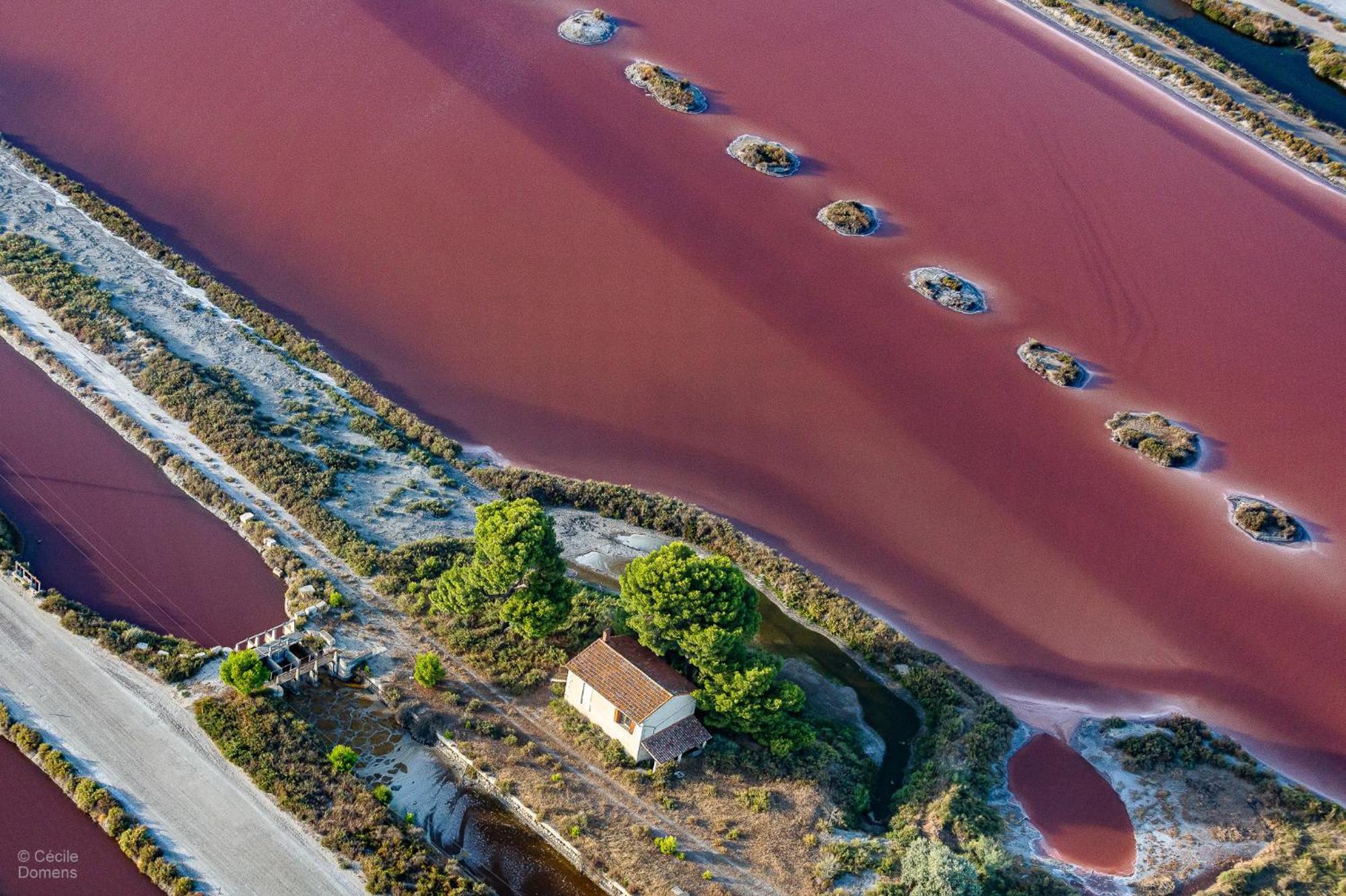 Nuits Salines Aigues-Mortes Eksteriør bilde