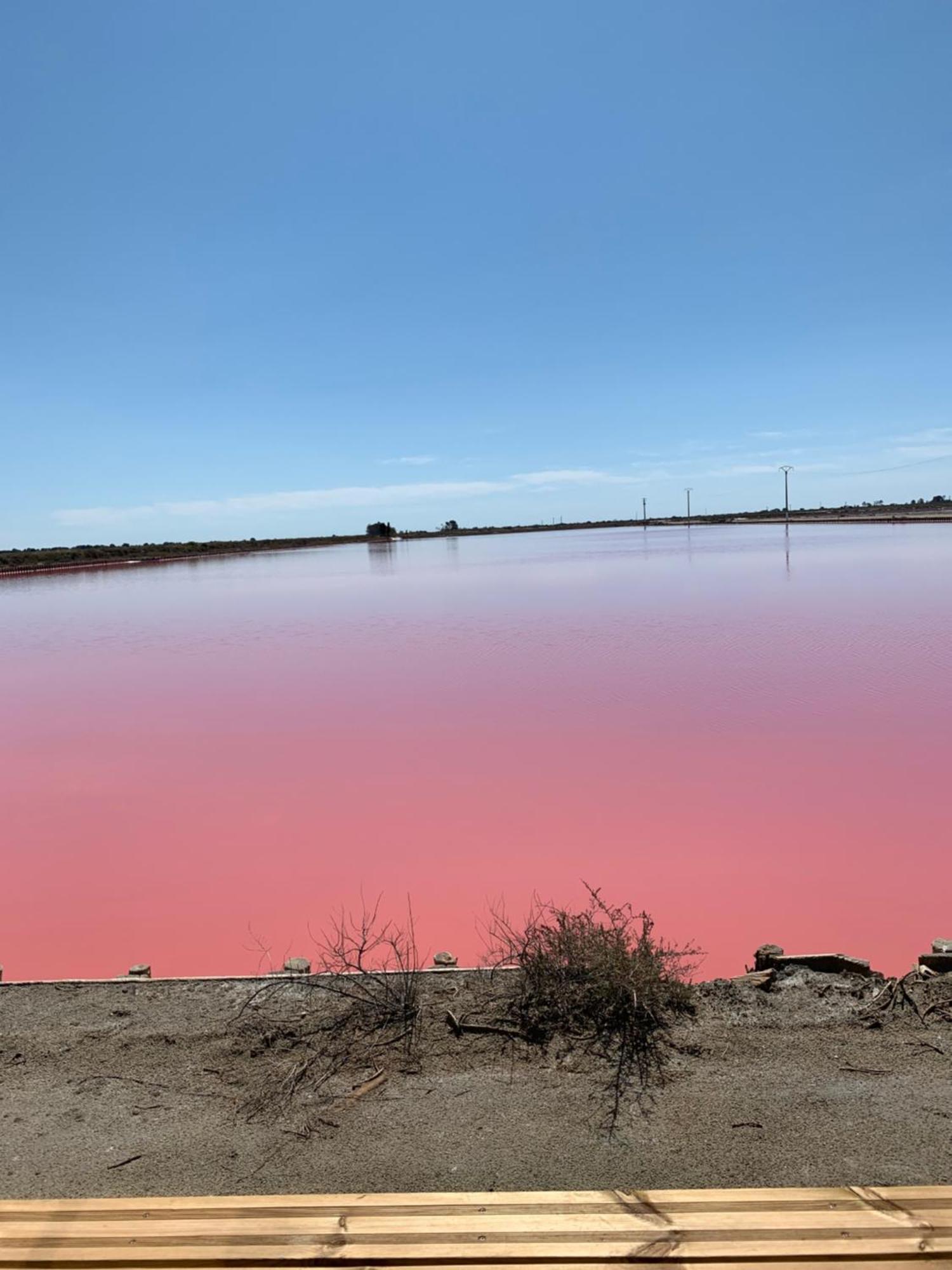 Nuits Salines Aigues-Mortes Eksteriør bilde